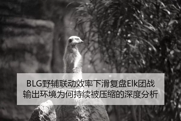 BLG野辅联动效率下滑复盘Elk团战输出环境为何持续被压缩的深度分析